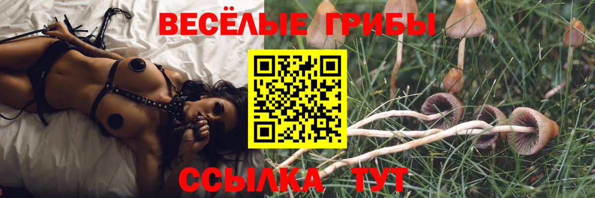 Галлюциногенные грибы мухоморы  Вход с VPN  Холмск  Галлюциногенные грибы Psilocybe 